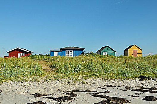 小,小屋,海滩,丹麦