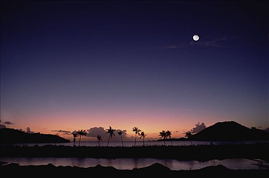 蚊子,小湾,黄昏,安提瓜岛,加勒比海