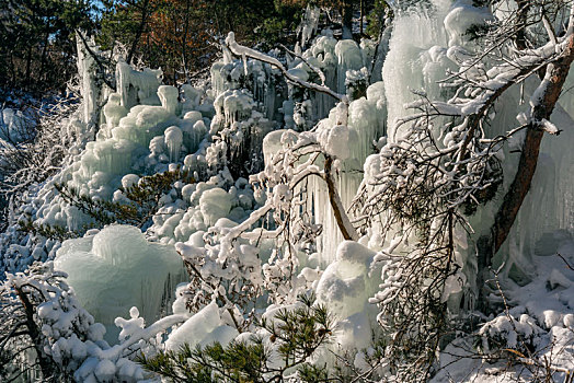 冬日山东省招远市罗山森林公园晶莹剔透鬼斧神工的冰瀑