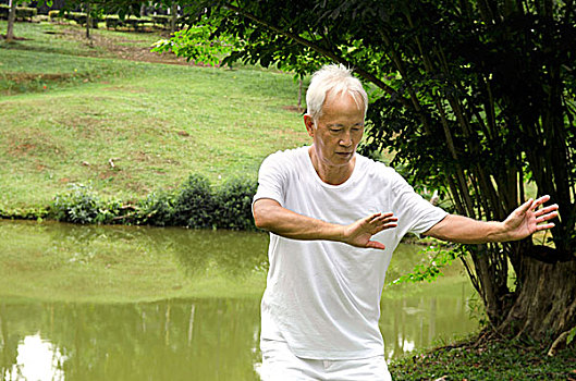 亚洲人,老人,表演,太极拳