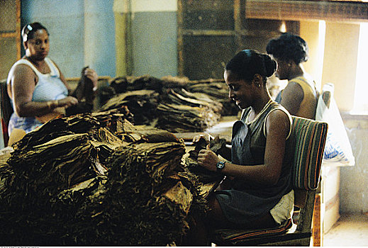 雪茄工厂,哈瓦那,古巴