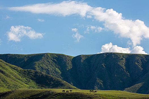 风景