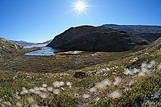 峡湾,格陵兰