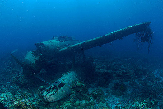 飞机,残骸,水上飞机,日本,第二次世界大战,帕劳,密克罗尼西亚,大洋洲