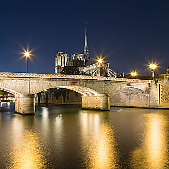巴黎圣母院,大教堂,塞纳河,夜晚,巴黎,法国