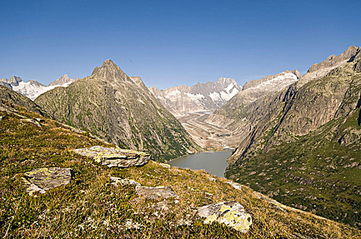 湖,风景,背影,山,修雷克宏峰,伯尔尼州,瑞士,欧洲