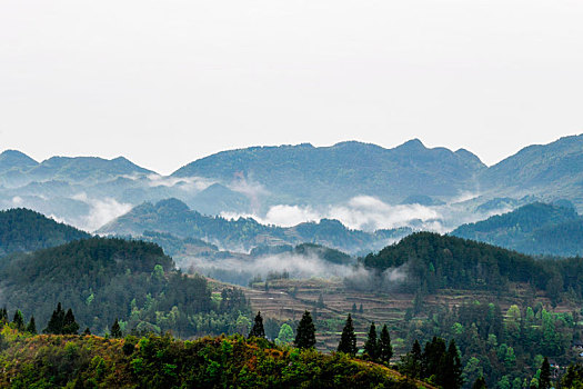 重庆酉阳,青山雾漫别样美