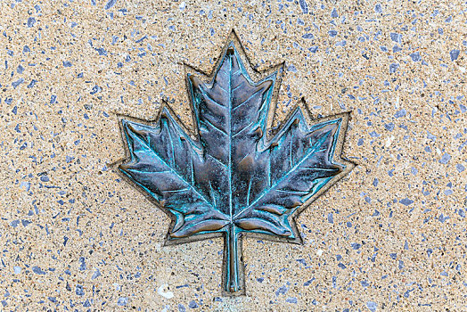 枫叶,金属,石头,盘子,象征,加拿大,渥太华,省,安大略省,北美