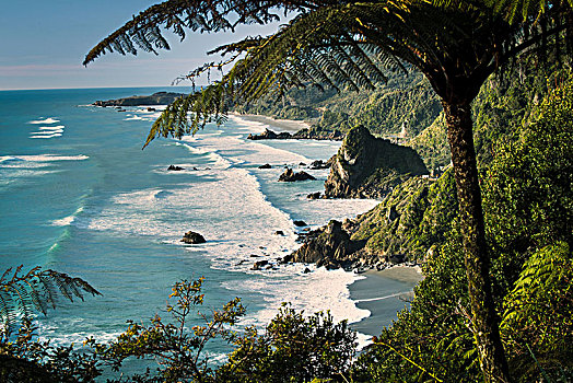 风景,湾,新西兰