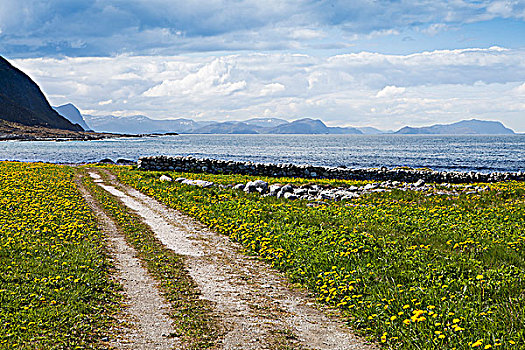 风景,湖