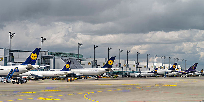 飞机跑道,慕尼黑,机场,汉莎航空公司,飞机,大门