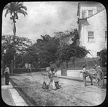街景,伯南布哥,巴西,迟,19世纪,早,20世纪,艺术家,未知