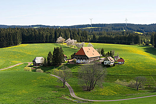 农舍,靠近,黑森林,巴登符腾堡,德国,欧洲