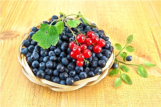 蓝莓,嫩枝,红醋栗,木板