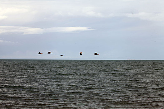 青海共和,青海湖景区美景