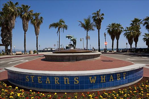 喷泉,棕榈树,背景,圣芭芭拉,码头,加利福尼亚,美国
