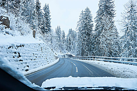 风档玻璃,风景,乡村道路,雪,树林,瑞士