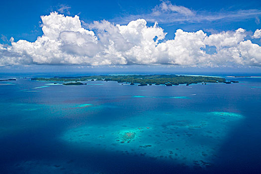 珊瑚礁,岛屿,乐园,帕劳,密克罗尼西亚,大洋洲