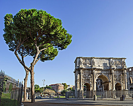 松树,君士坦丁凯旋门,罗马,拉齐奥,意大利,欧洲