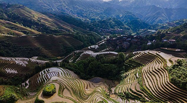 广西龙脊梯田灌水景色