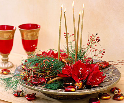 圣诞节,安放,孤挺花,细枝,浆果,装饰