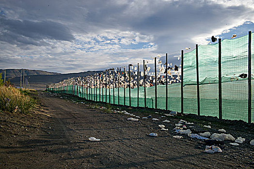 栅栏,土路,地点,圣克鲁斯省,巴塔哥尼亚,阿根廷