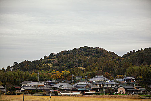 茨城县