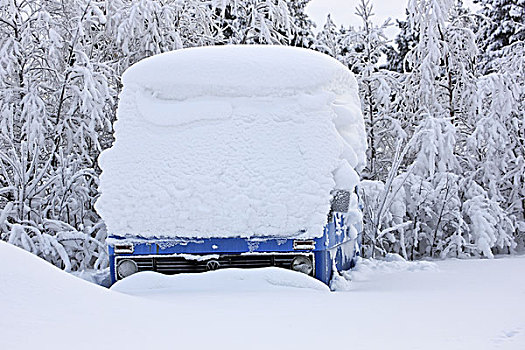 瑞典,拉普兰,大众汽车,巴士,汽车,冬天,雪