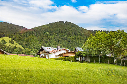 瑞士高山草甸田园风光