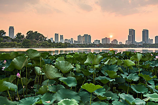 南京玄武湖夜景