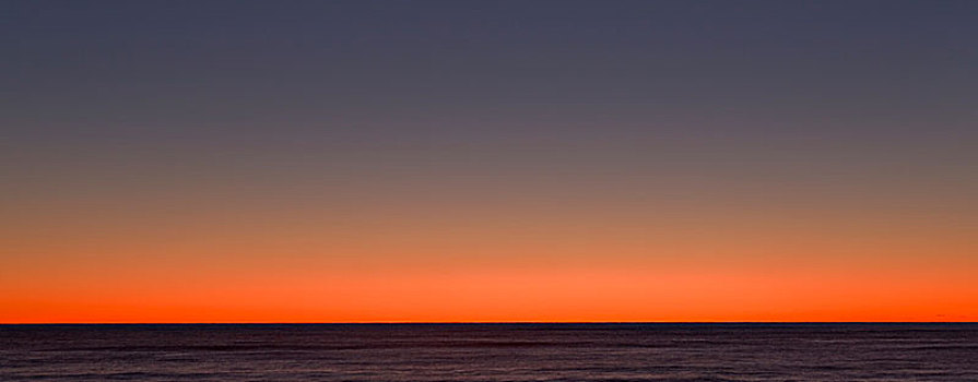 漂亮,烧,橙色,日落,西部,海岸,南岛,新西兰