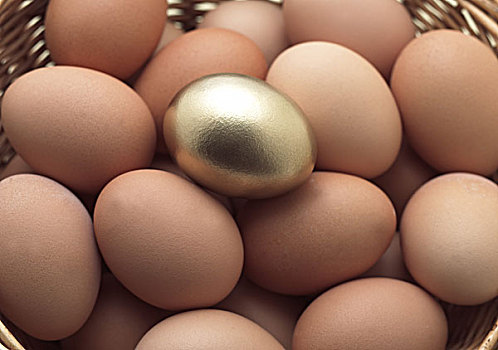蛋,篮子,金色,一个,象征,母鸡,金蛋
