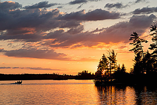 剪影,人,独木舟,平和,湖,日落,安大略省,加拿大