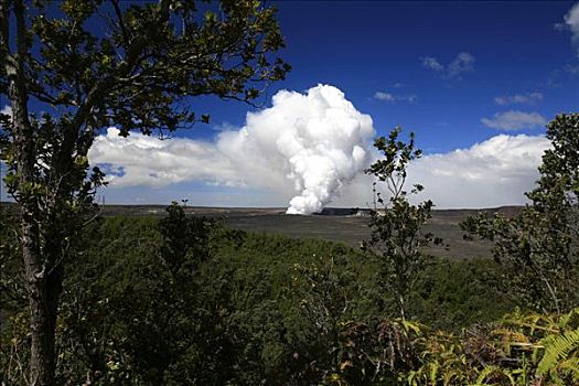 热带,植被,火山,景色,火山国家公园,夏威夷大岛,夏威夷,美国