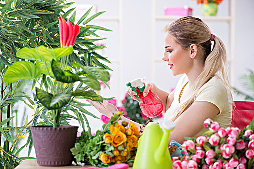 美女,浇水,植物,花园