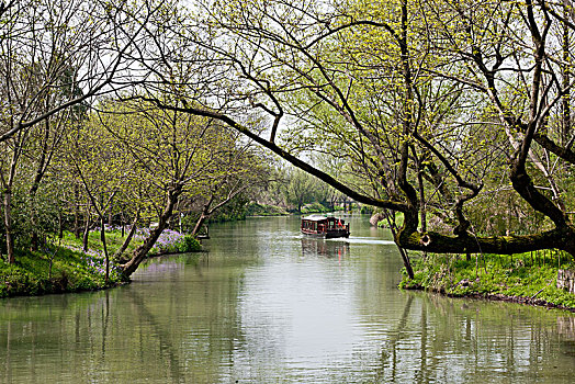 杭州西溪湿地河道里行驶的船