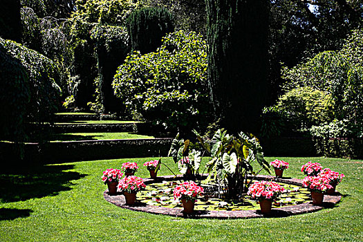 盆栽,喷泉,花园