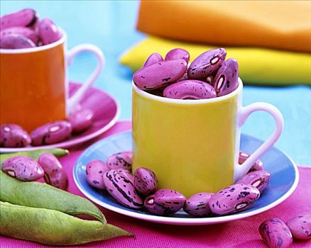 紫色,豆,意式特浓咖啡杯
