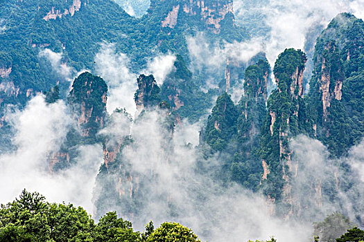 湖南,张家界,峰林,云雾