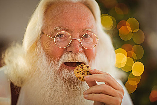 高兴,圣诞老人,吃,饼干