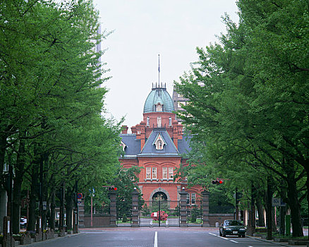北海道,政府,写字楼,绿色,道路
