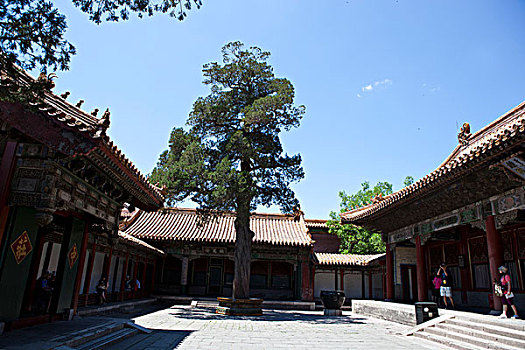 北京故宫院落