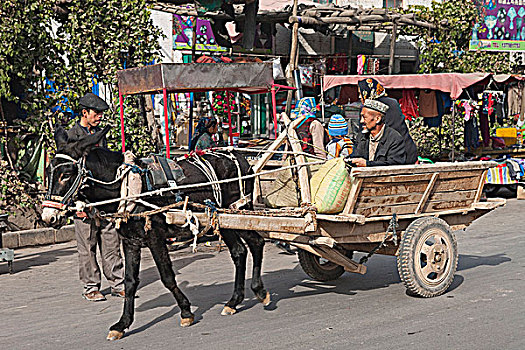 驴,手推车,跑,集市,新疆,中国