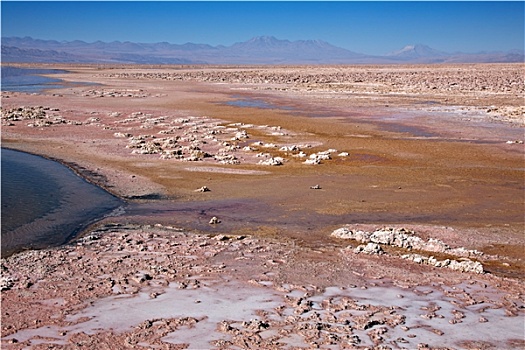 盐湖,阿塔卡马沙漠,智利