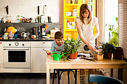 男孩,母亲,护理,盆栽,厨房用桌