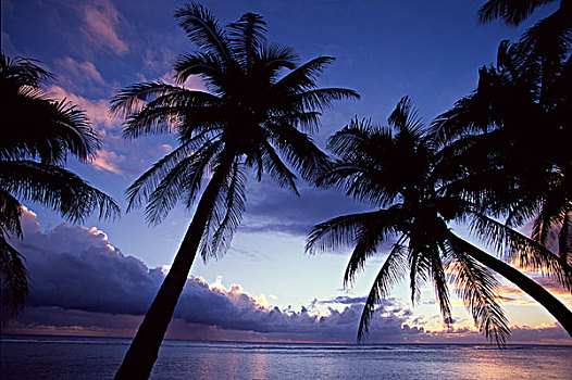 拉罗汤加岛,日落