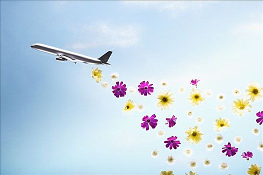 飞机,排放,花
