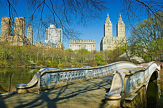 桥,中央公园,纽约,美国
