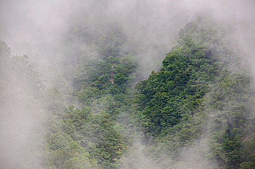 雾气弥漫的山峰