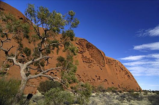 石头,乌卢鲁巨石,领土,澳大利亚